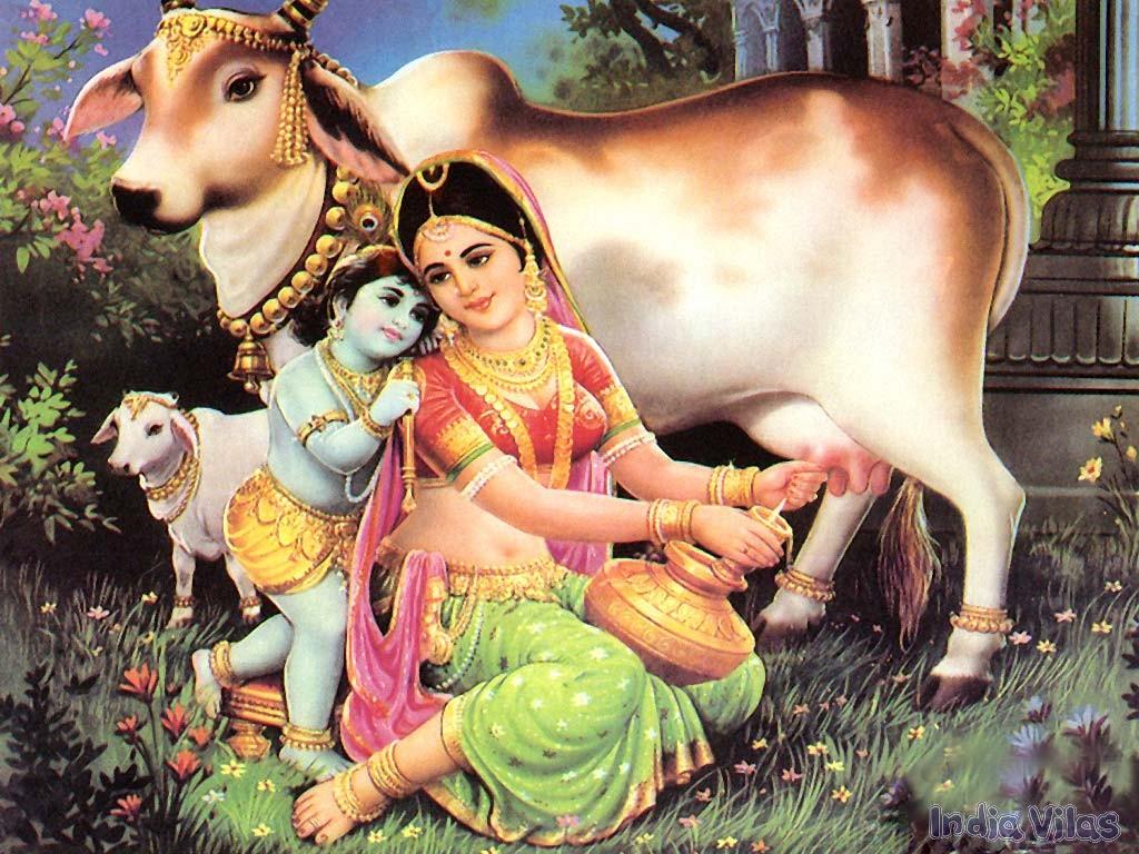 SAVE THE HOLY COWS AND SAVE THE HINDU RELIGION AND NATION 